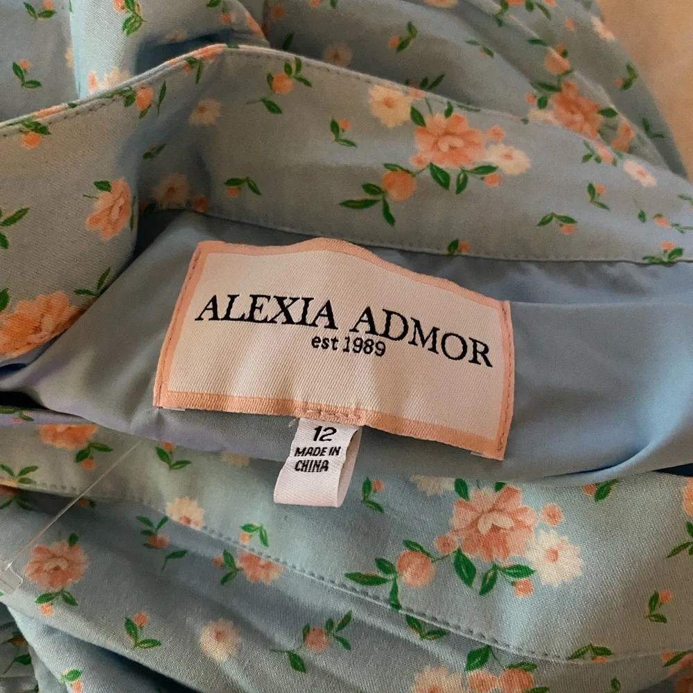Alexia Admore Halima maxi skirt size 12